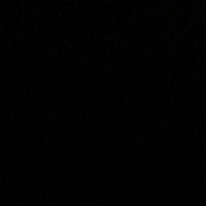 Meet your Posher, Evelyn